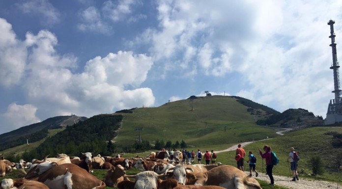 Spoznavni dogodki za samske | Kako smo se imeli na Krvavcu?