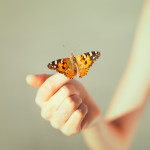 shutterstock_130122452