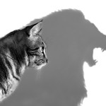 shutterstock_208526818