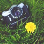 fotografija-ona-on-spoznaj-zmenki-isce-njega-njo