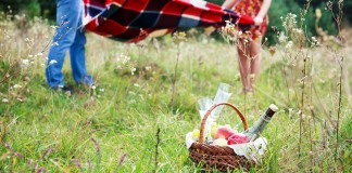 Prvi zmenek na pikniku