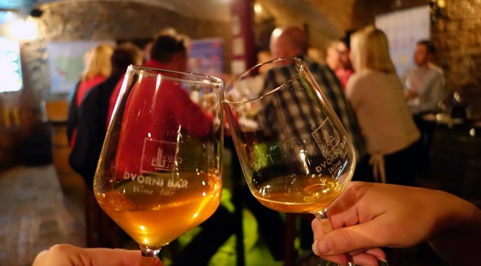 Vinski zmenki - Spoznavni dogodki za samske