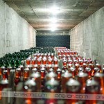 martinovanje-dogodki-za-samske-ona-on-zasebni-stiki-resne-zveze-zmenki (40)