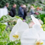 martinovanje-dogodki-za-samske-ona-on-zasebni-stiki-resne-zveze-zmenki (9)