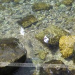 spoznavni-dogodki-za-samske-izlet-piran-ona-on-zmenki (18)