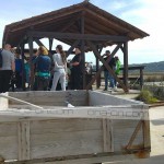 spoznavni-dogodki-za-samske-izlet-piran-ona-on-zmenki (37)