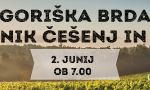spoznavni-dogodki-za-samske-goriska-brda-ona-on-zasebni-stiki-resne-zveze-zmenki