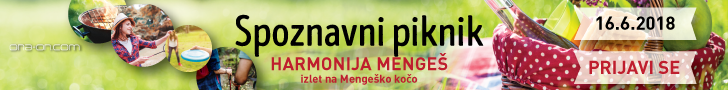 spoznavni-dogodki-za-samske-ona-on-piknik