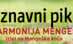 spoznavni-dogodki-za-samske-spoznavni-piknik-ona-on-zasebni-stiki-resne-zveze-zmenki