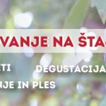 Martinovanje2-01-min