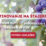 Martinovanje2-09-min