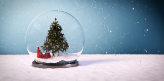 Božična čestitka: Lepa misel in božično darilo