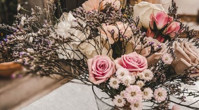 Šopek na zmenek: Kako ohraniti šopek dolgo obstojen pozimi?