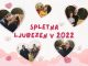 Ljubezensko dogajanje na ONA-ON.COM v letu 2022