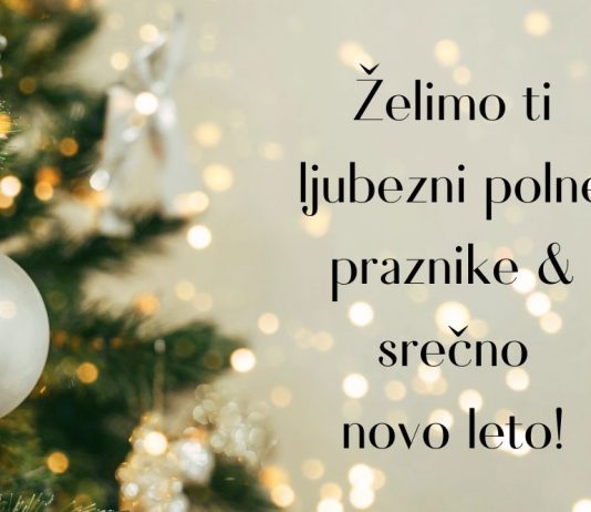 Ljubezni polne praznike & kako smo v 2023 uporabljali ona-on?